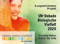 Die A.p.e. e.V. Projekte NaturSinn & WaldArt wurden als offizielles Projekt der UN-Dekade Biologische Vielfalt ausgezeichnet
